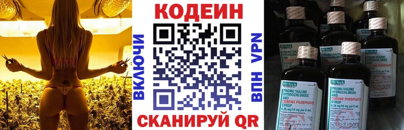 Codein Purple Drank  даркнет сайт  Каменск-Шахтинский 