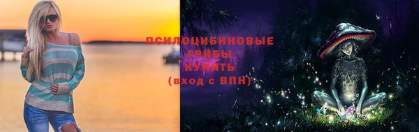гашик Абаза