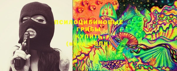 сатива Абдулино