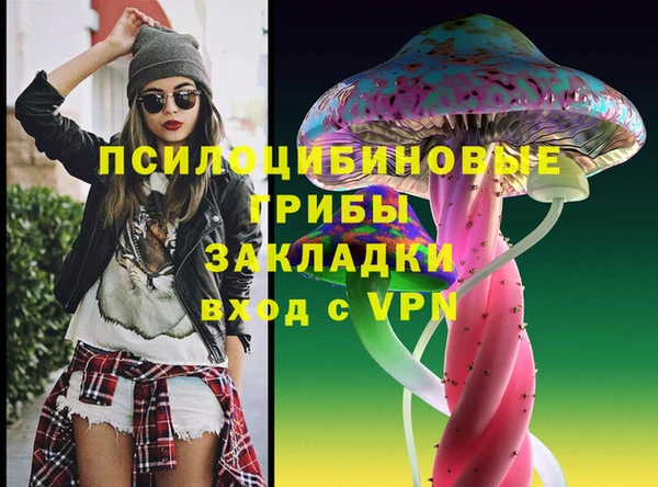 сатива Абдулино