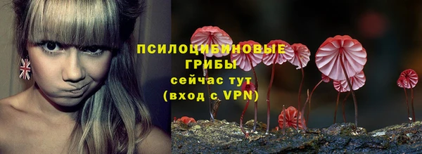 гашик Абаза