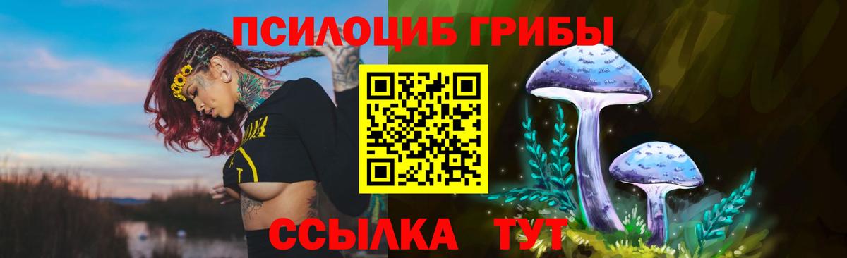 Галлюциногенные грибы мицелий Каменск-Шахтинский