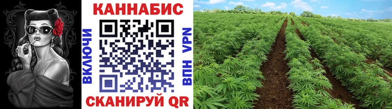 omg онион  закладки  Каменск-Шахтинский  Бошки Шишки планчик 